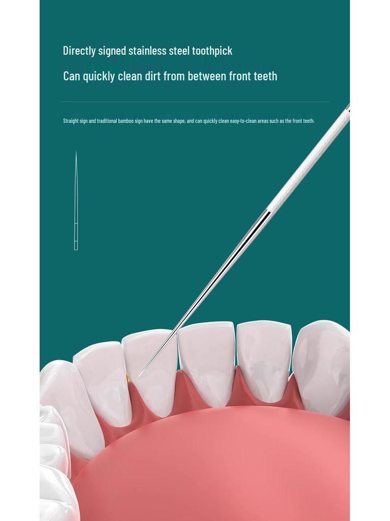 Portable 304 Stainless Steel Toothpick - Ultra Fine Metal Cleaning Tool