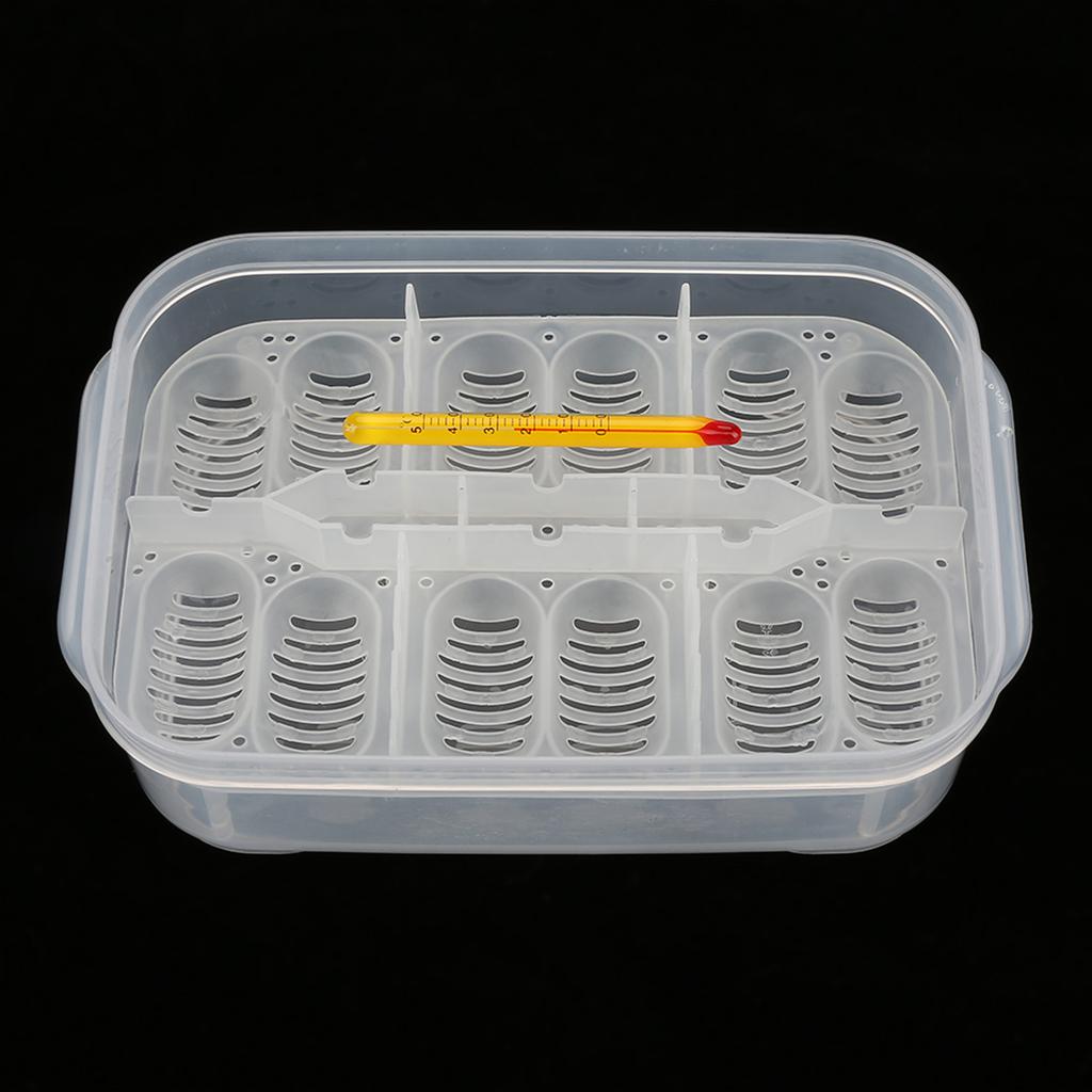 12 Fächer Schlangen Geckos Eidechsen Reptilien Eier Inkubator Tablett Schlüpfkasten mit Thermometer