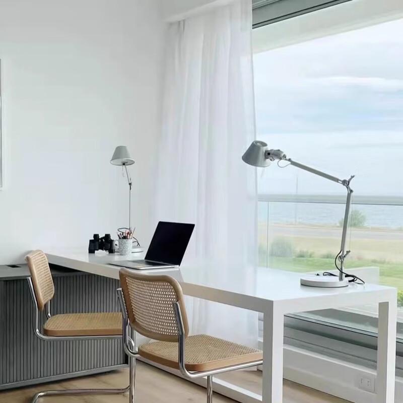 Oeny Double-Arm Desk Lamp