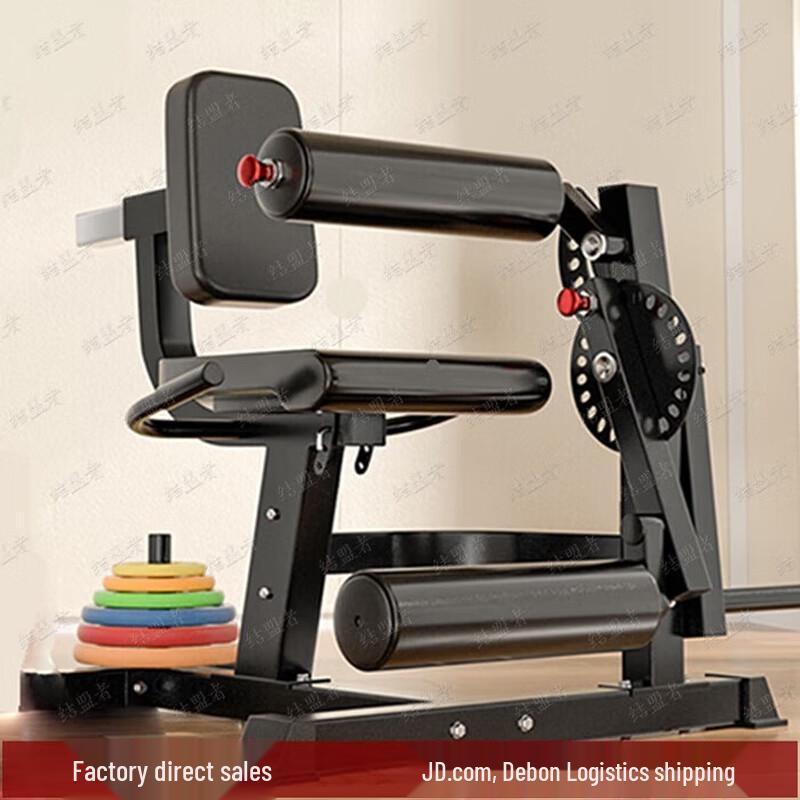 Ally Multifunctional Leg Extension & Curl Trainer