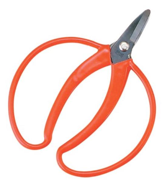 

Kobayashi Scissors Koshiji Mandarin Orange Cutting Scissors Curved Blade J-25