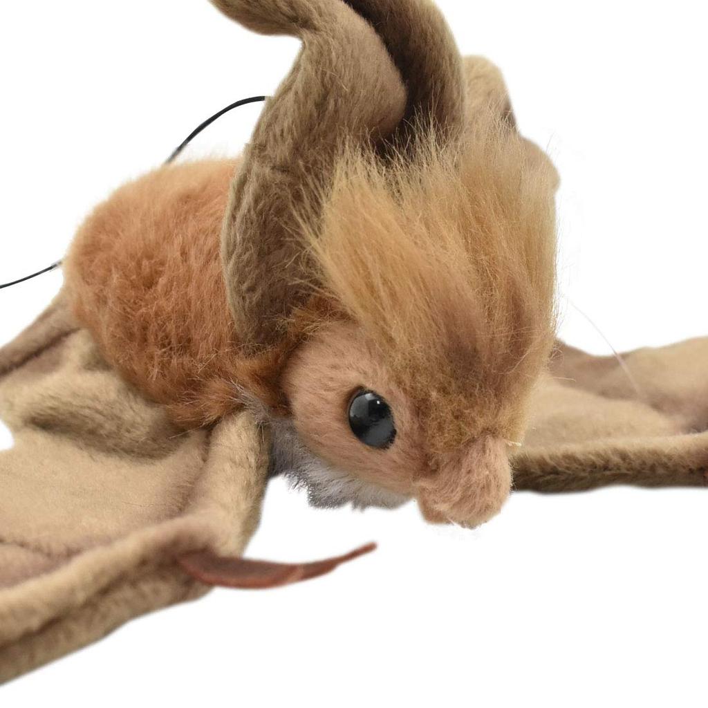 Canal BH3064 HANSA Bat Marrón 37