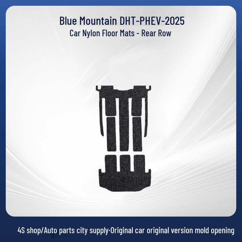 Blue Mountain DHT-PHEV-25 Removable Nylon Car Floor Mats