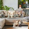 Cute Rabbit Reading Pillowcase Bedroom Sofa Cushion Cover 100% Polyester Living Room Cushion Pillowcase Home Comfortable Decor