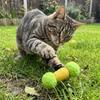 2PCS Soft Plush Cat Chew Toys Bite-Resistant Interactive Cat Toys Cat Teaser Toy  Indoor Use