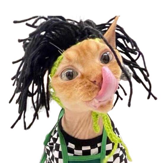 Cat Hat Pets Knitted Cosplay Hat Halloween Christmas Party Costume Headwear Dress-up Accessories for Puppy Cat Kitten