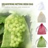50pcs Fruit Protection Bags Pest Control Anti-Bird Garden Netting Strawberry Bags Mesh Grapes Bag Drawstring Planter Grow Bags