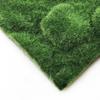 Creative Micro Landscape Decorative Moss & Turf Eco-Bottle