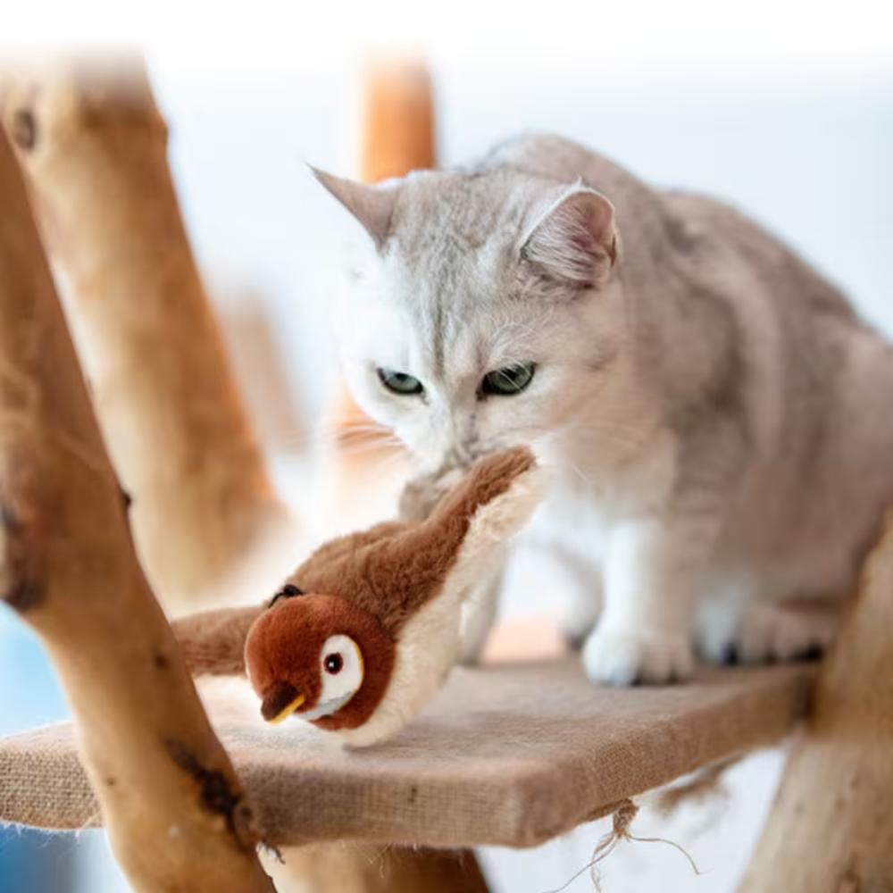Brinquedos de toque e carregamento destacáveis, interação de voo com bater de asas automático, brinquedos de gato de estimação pardal simulado