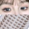 Manga Natural Lashes Clusters Wispy C Curl Individual Lashes  for Eyelash Extensions