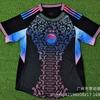 25-26 Algeria Host and Guest, Special Edition Player Edition Algeria Player Jersey