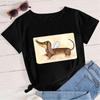 Angel Dachshund Kawaii Cartoon Teens T Shirts Young Happy Black Tops Multicolor Tee Shirt Women Fashion