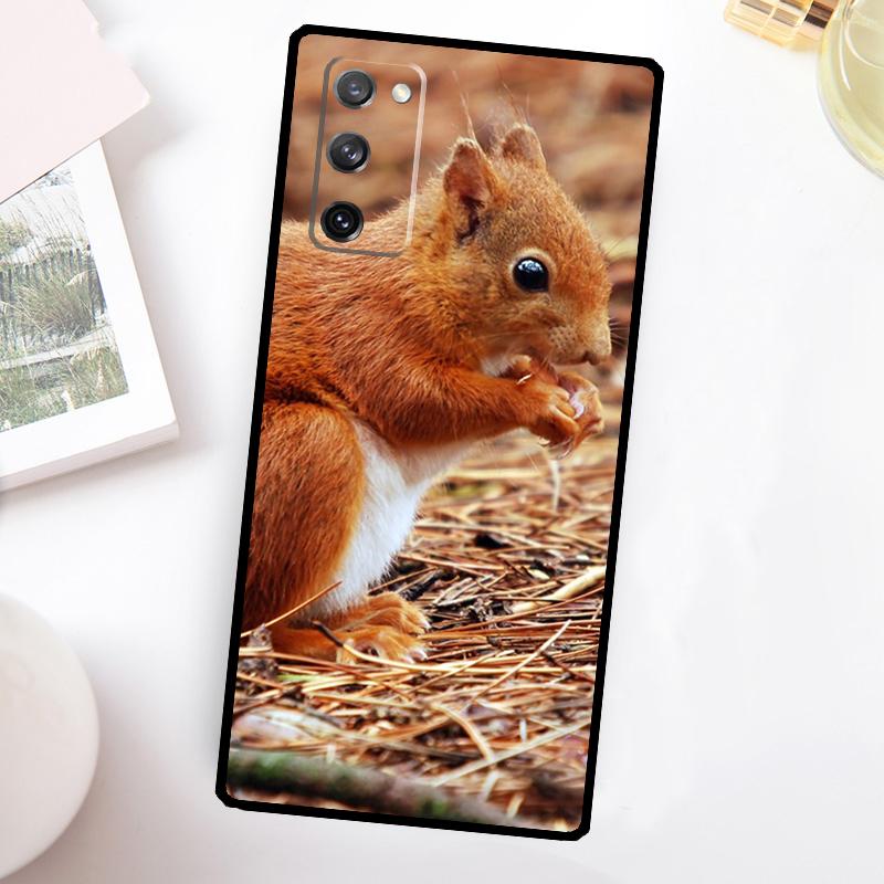 Squirrel Cute Animals Phone Case For Samsung Galaxy S25 S24 S23 S26 Ultra S20 FE S21 FE S22 Plus S10 S25 FE Cover