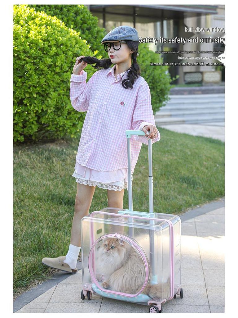 Portable Transparent Pet Travel Suitcase: Breathable, Extra Large for Cats & Dogs