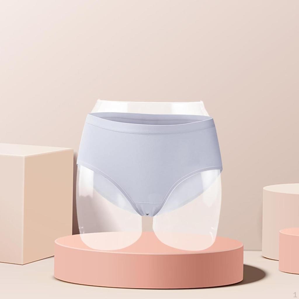 Underwear Display Rack Hip Model for Lingerie Store Organizing Shop