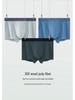 Nahtlose Herren Antibakterielle Atmungsaktive Seiden Boxer Briefs - Hochelastisch, Bequeme Passform, Große Größe