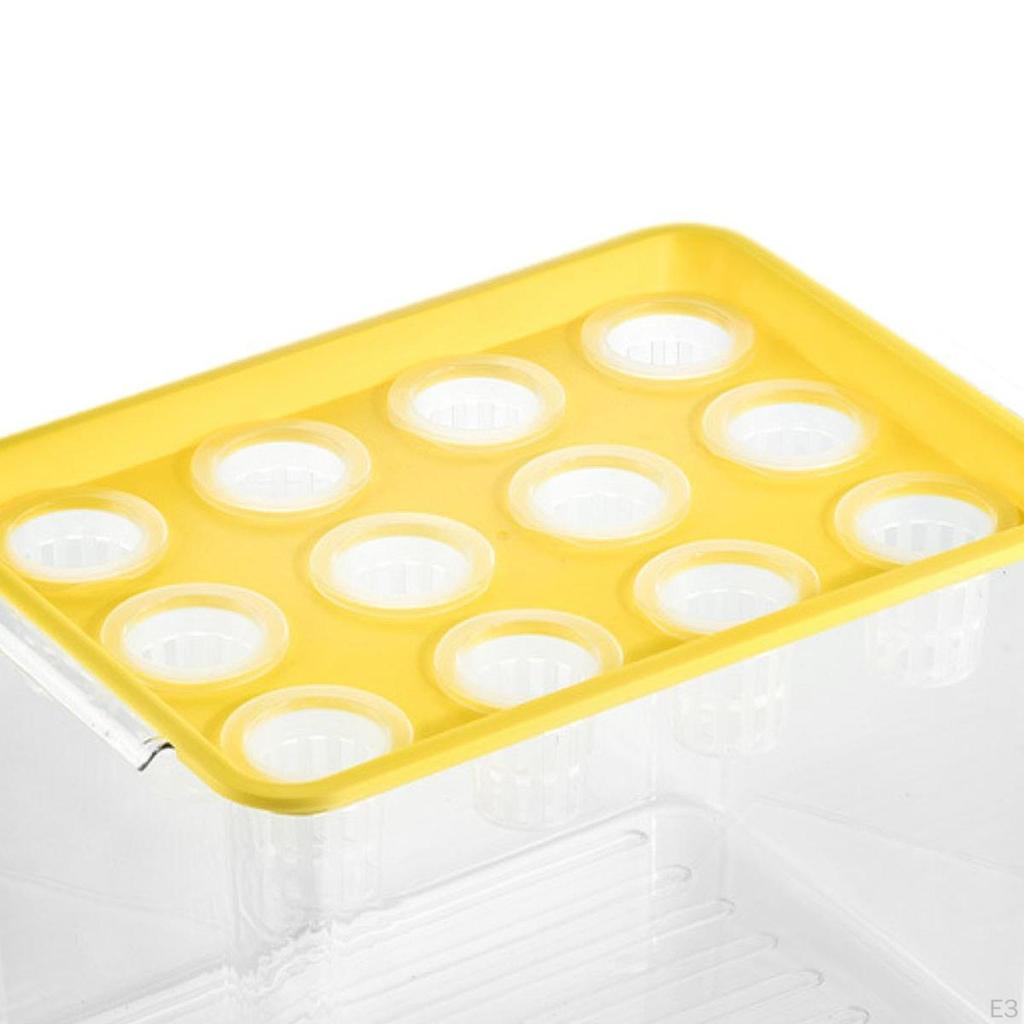 Home Hydroponics Growing Box for Microgreens Development