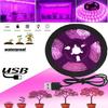 USB Full Spectrum Waterproof Succulent Seedling Grow Light Strip with Sensor, 5V2835.
