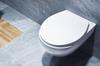 Soft-close, removable toilet seat AWD INTERIOR 1442 Salsa duroplast white