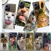 Pet Cat Funny Memes Phone Case For Redmi 12 13C 12C 15C 9 10 10C Note 13 Pro Plus 14 15 Pro 9T 9C 9A TPU Soft Cover Clear Cell C