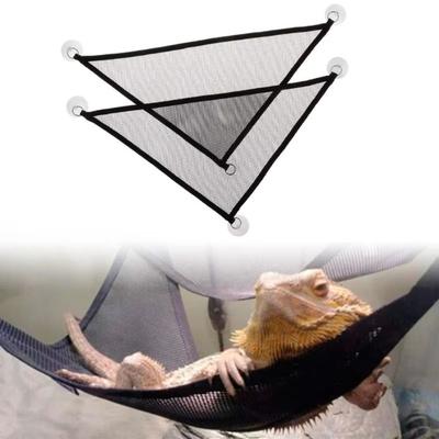 Reptile – Terarii pentru reptile