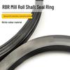 Qicheng RBR Mill Shaft Seal Ring