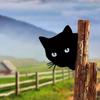 1 Stück Eisensilhouette Schwarze Katze Kopf Wanddeko - Verspielte Gartenparty-Dekoration, Perfekter Gartenakzent