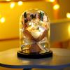 Glass Cover Rose Lantern Qixi Festival Valentine's Day Gift Immortal Bouquet Gypsy Dried Flowers Carnations Teachers' Day