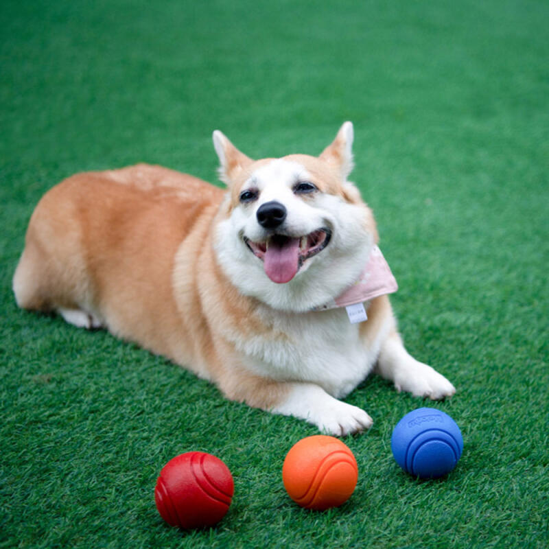 PH Dog Pet Puppy Play Elastic Ball 9052 S green