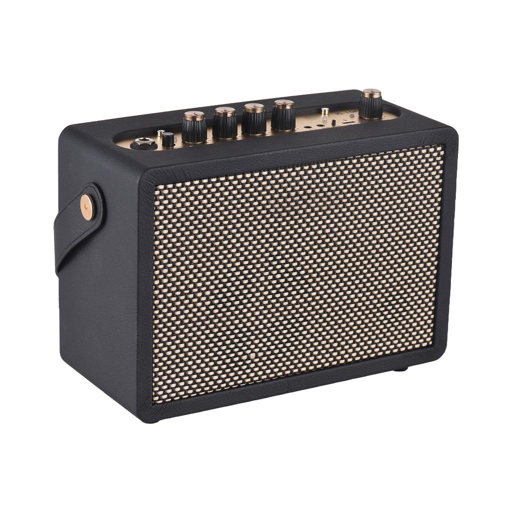 DK Electric Guitar Amp Clear Distorted Dual Channel Built in Reverb and Delay Effects Portable Guitar Practice Speaker