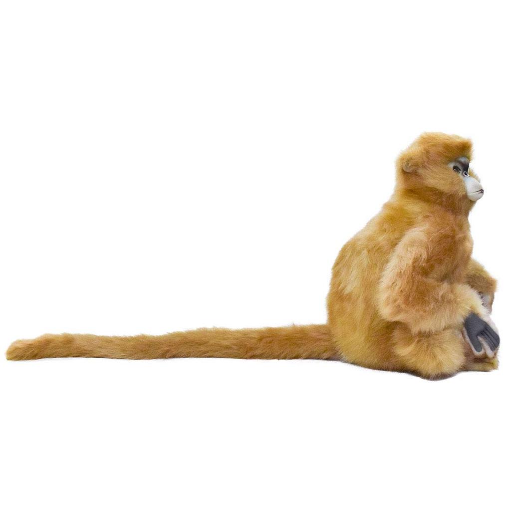 BH6766 HANSA Snub-nosed Monkey 47