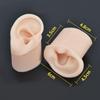 Realistic Silicone Ear Model Soft and Flexible Medical Students Practice