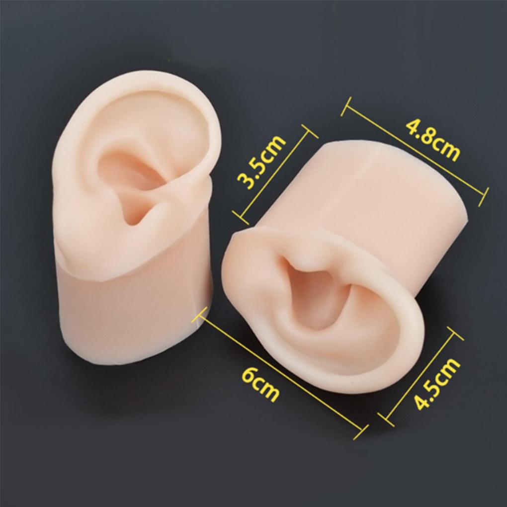 Realistic Silicone Ear Model Soft and Flexible Medical Students Practice