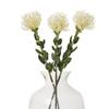 Hill Interiors Pincushion Protea Spray Artificial Flower