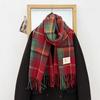 Christmas atmosphere plaid scarf women's new autumn and winter Korean version versatile shawl thickened warm couple fringed scarf