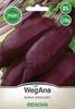 Beetroot Renova 20g Beetroot Seeds -