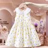 Cute Infant Girls Floral Print Sleeveless Princess Dress Toddler Little Girls Casual Party Sundress Baby Kids Vest Dress Children Clothing