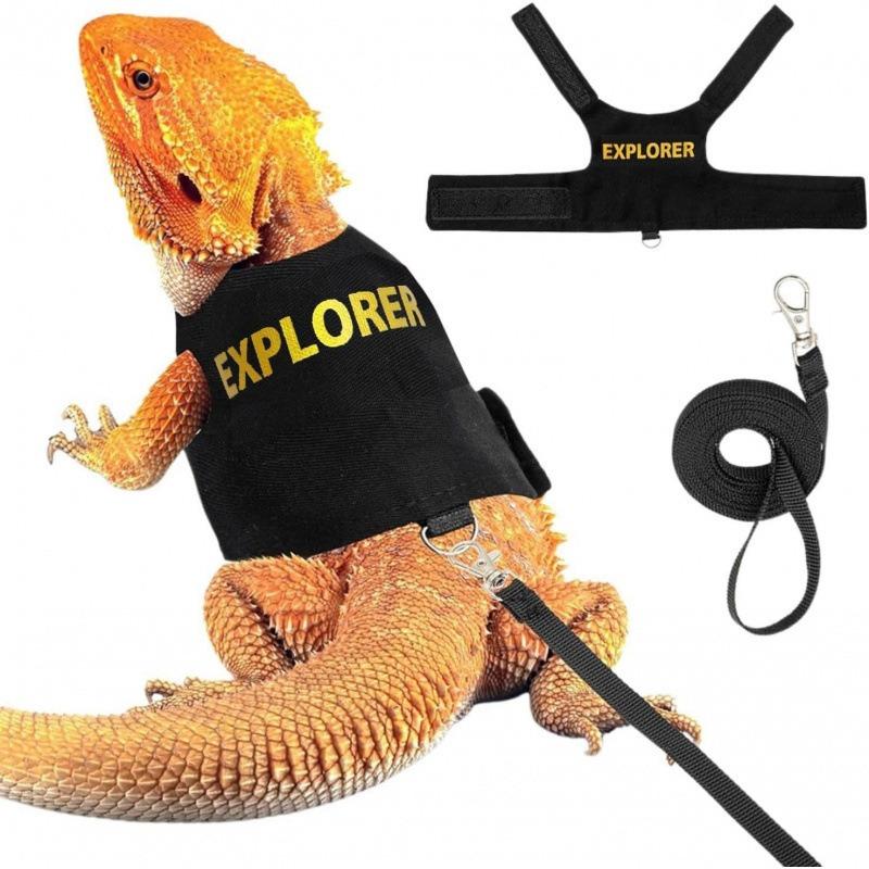 Lizard Traction Rope Climbing Pet Outdoor Harness Chameleon Squirrel Traction Rope Clothes Small Pet Supplies