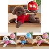 Teddy Hoodie Dog Plush Toy Cute Cartoon Collar Animal Doll Girl Birthday Gift