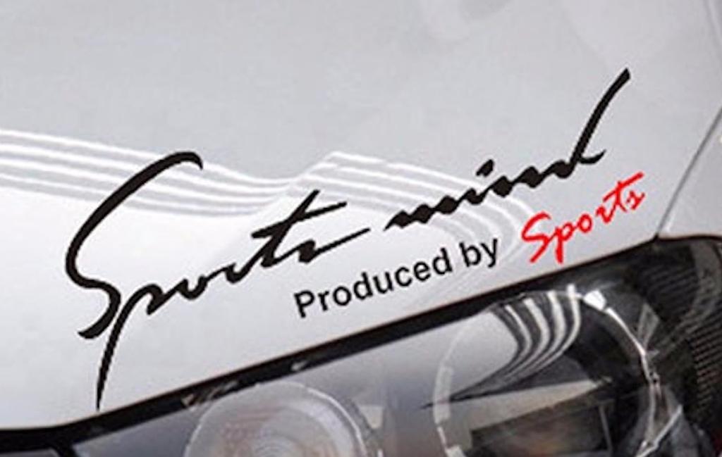 Sports Mind Universal Side 8 5 Sizes Car/Motorcycle Sticker/Decal, Dress-Up Sticker, Colors, (Black, XXL, 40x12.5cm)