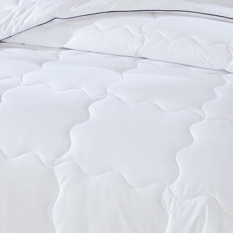 Mengjie Suxin Down Alternative All-Season Quilt