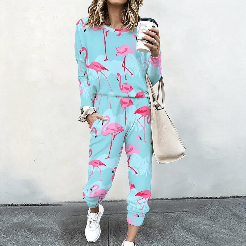 Ladies Loose Long Sleeve Top And Elastic Waist Pants Two Piece Cozy Daily Outfit Set