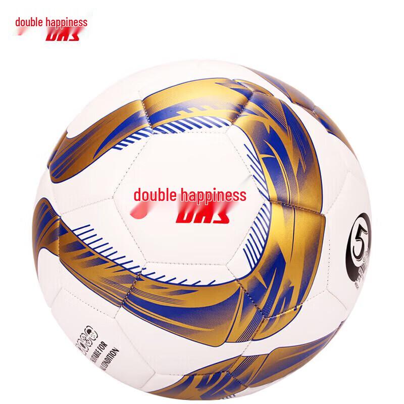 DHS Standard Size 5 Machine-Stitched Football