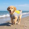 Breathable Mesh Pet Cooling Shirt Ice-Silk Pet Cool Clothes Dog Cooling Ice Vest  Beach Travel