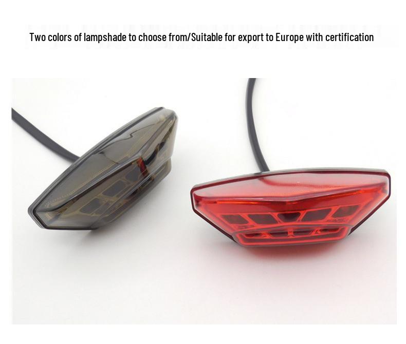 BMW Motorcycle LED Rear Taillight with Integrated Brake and License Plate Light