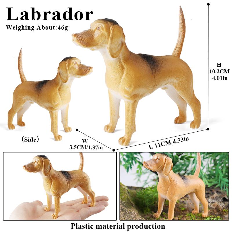 Oenux Dog Animals Model Action Figure Dobermann Shiba Inu Pomeranian Boxer Husky Puppy Figurines Cute Collection Toy Kids Gift