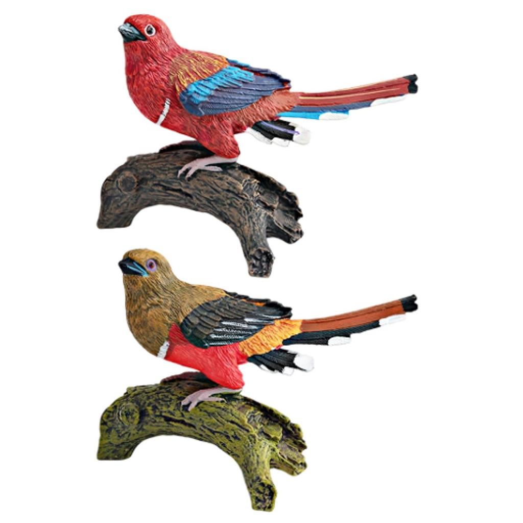 Realistic Bird Figure for Children Collection Decoration Miniature Bird Figurine for Desktop Home Garden Birthday Party Favor