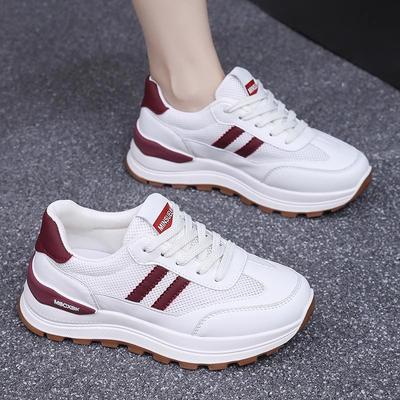 Mesh Breathable Women's Shoes Sneakers Women's Light and Fashionable 2025 Spring New Dad Heightening Ins Board Shoes