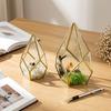 Geometric Glass Rhombus Greenhouse Ornament: European Wine Cabinet Micro Landscape & Preserved Flower Pot Craft