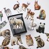 Animal World Photo Sticker Set - 50 Sheets for Kids DIY Notebook Decoration